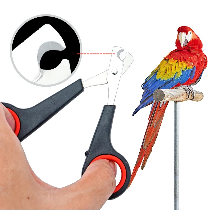 Grooming Scissors - 12cm Pet Parrot Nail Scissor Dog