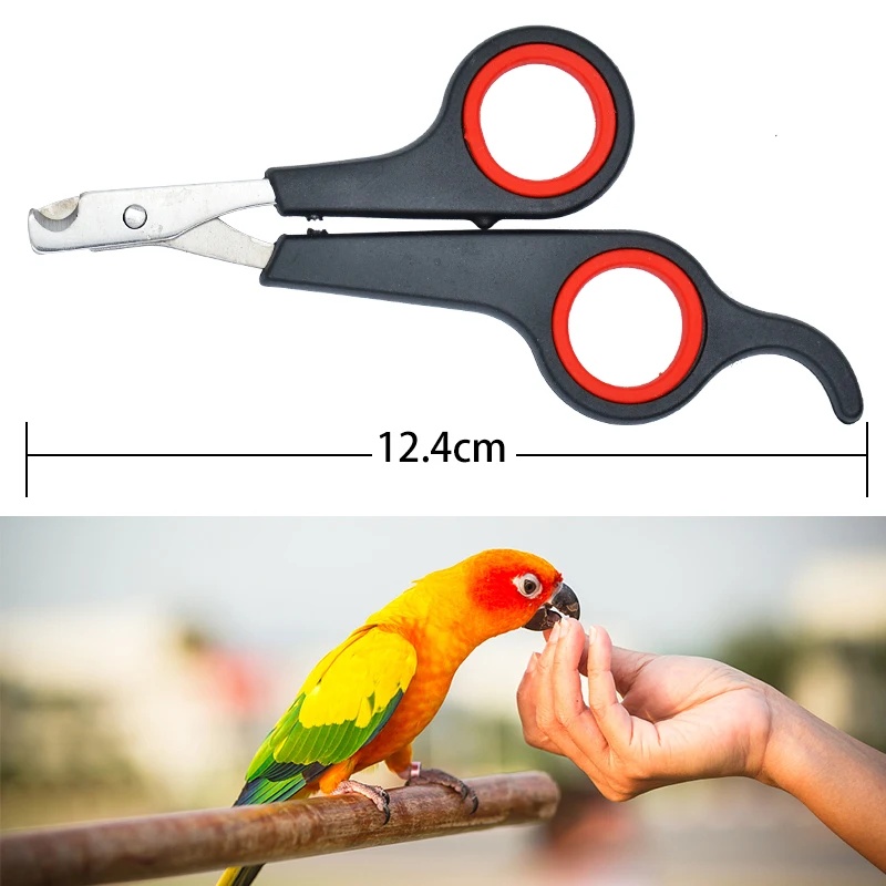 12cm Pet Parrot Nail Scissor D - Grooming Scissors 评论和价格
